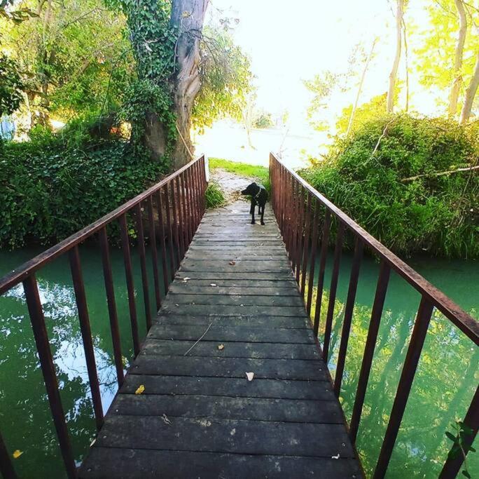 Сasa de vacaciones Junto Al Rio Chubut Trelew