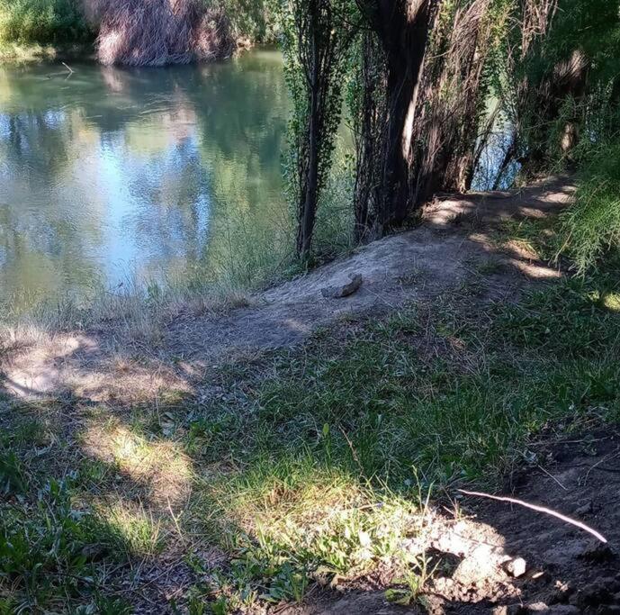 Holiday home Junto Al Rio Chubut *