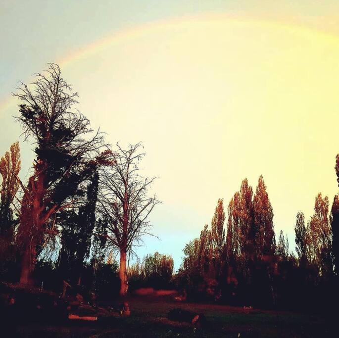 Junto Al Rio Chubut